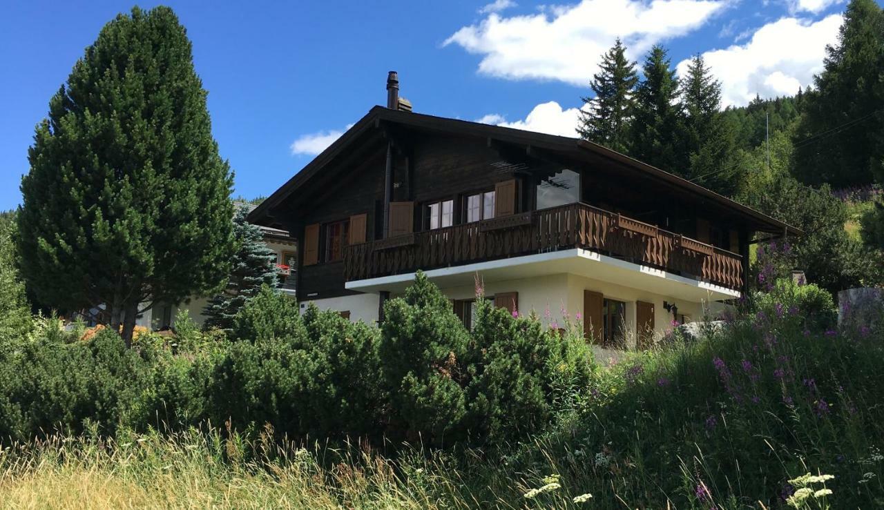 Ferienwohnung Im Chalet Firn - Og Bürchen Dış mekan fotoğraf