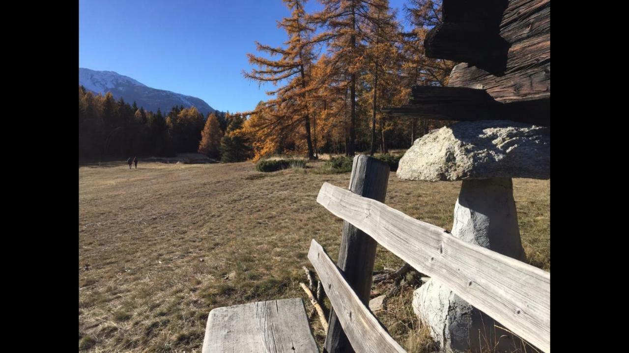 Ferienwohnung Im Chalet Firn - Og Bürchen Dış mekan fotoğraf