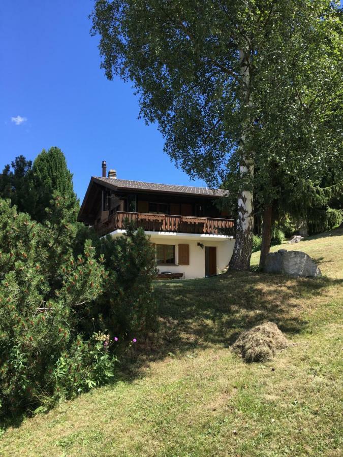 Ferienwohnung Im Chalet Firn - Og Bürchen Dış mekan fotoğraf
